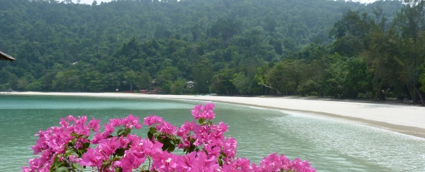 20160104 Viaggio di nozze Singapore Borneo.jpg