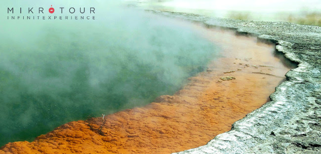 20190717 nuova zelanda